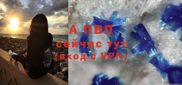 ГАЛЛЮЦИНОГЕННЫЕ ГРИБЫ Вяземский