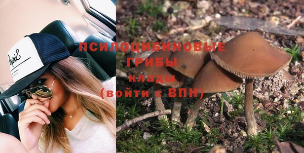 Альфа ПВП Вязьма