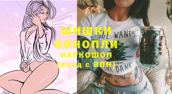 Альфа ПВП Вязьма