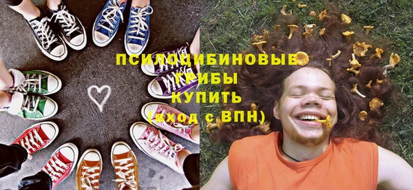 ГАЛЛЮЦИНОГЕННЫЕ ГРИБЫ Вяземский
