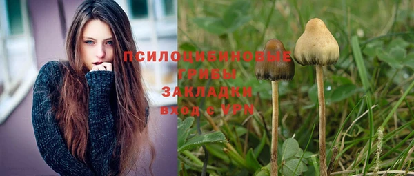 ГАЛЛЮЦИНОГЕННЫЕ ГРИБЫ Вяземский