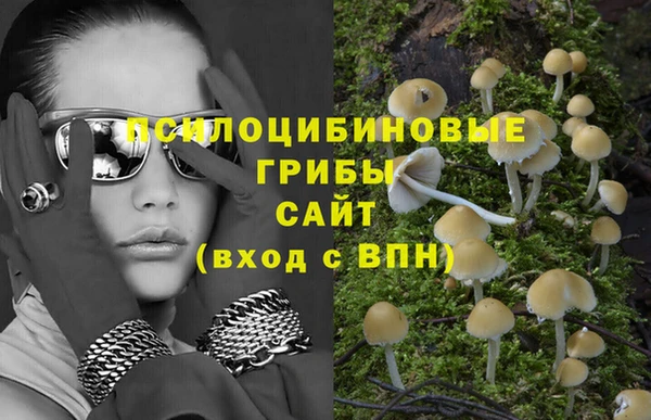 Альфа ПВП Вязьма